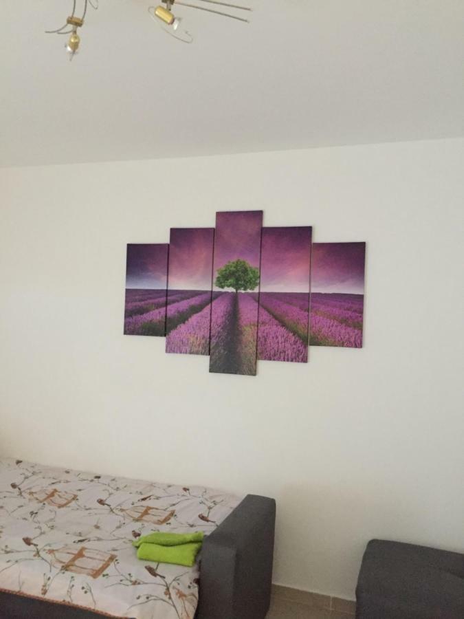 Apartment Brno PUY Eksteriør bilde